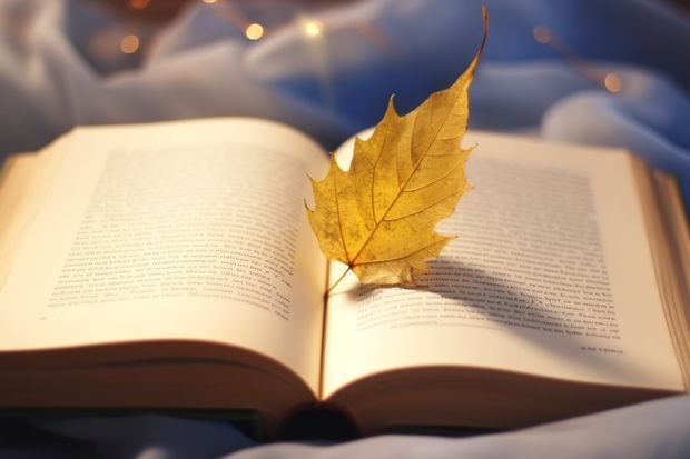 成都师范学院在广东最低录取分数