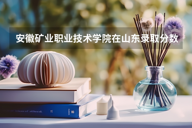 安徽矿业职业技术学院在山东录取分数是多少 安徽矿业职业技术学院山东招多少人
