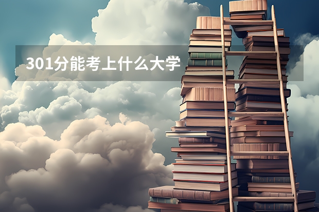 301分能考上什么大学