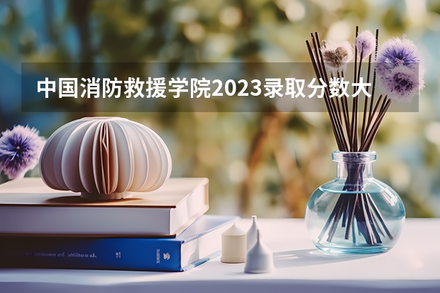 中国消防救援学院2023录取分数大约是多少