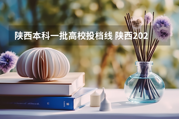 陕西本科一批高校投档线 陕西2023投档分数线