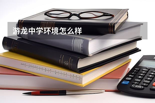 游龙中学环境怎么样