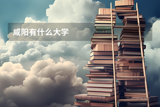 咸阳有什么大学