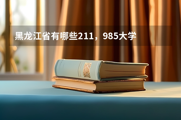 黑龙江省有哪些211，985大学