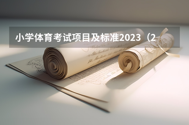小学体育考试项目及标准2023(2023年体育中考评分标准)