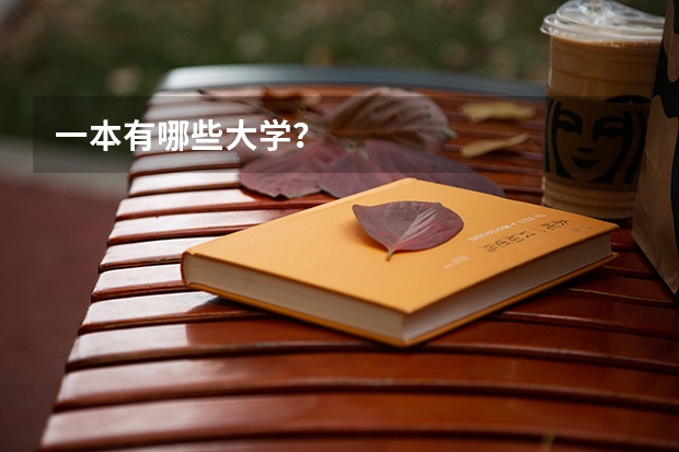 一本有哪些大学？
