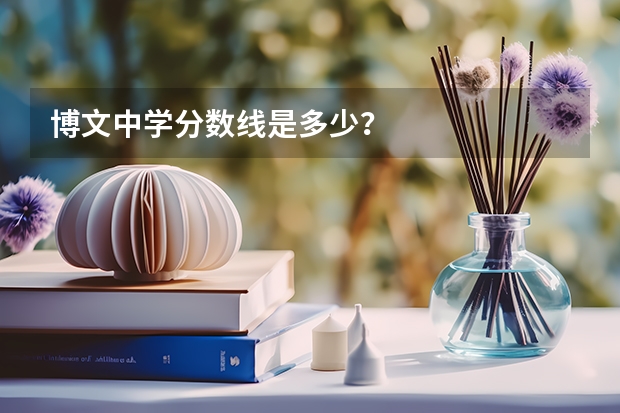 博文中学分数线是多少?