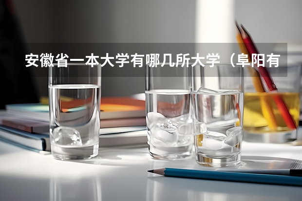 安徽省一本大学有哪几所大学（阜阳有几个本科大学）
