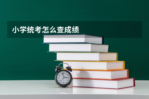 小学统考怎么查成绩