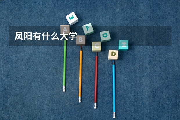 凤阳有什么大学