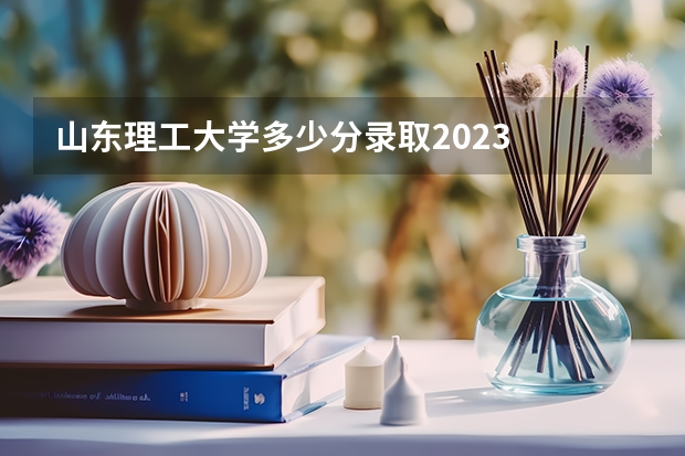 山东理工大学多少分录取2023