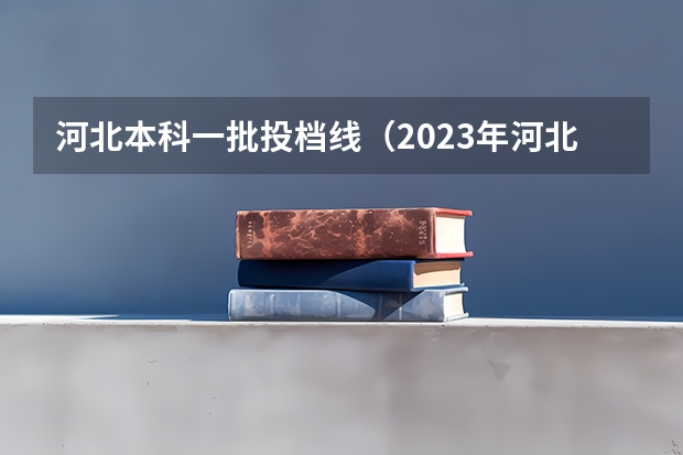 河北本科一批投档线（2023年河北省投档线）