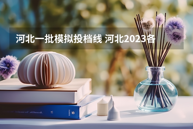 河北一批模拟投档线 河北2023各大学投档线
