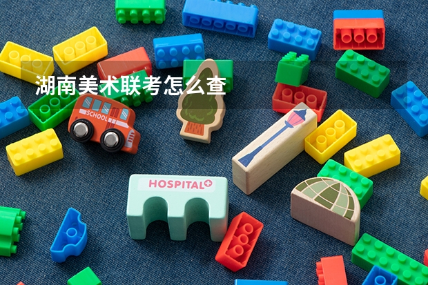 湖南美术联考怎么查