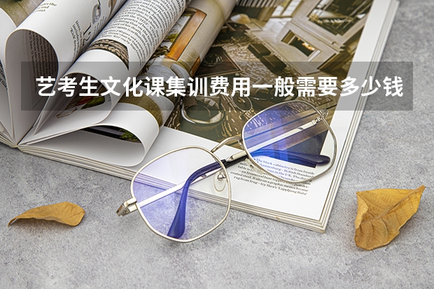 艺考生文化课集训费用一般需要多少钱?