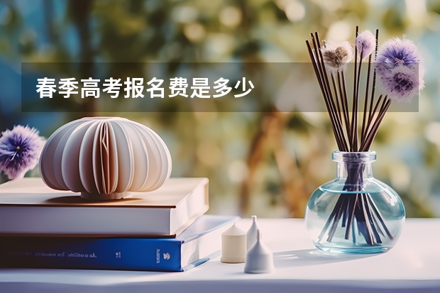 春季高考报名费是多少