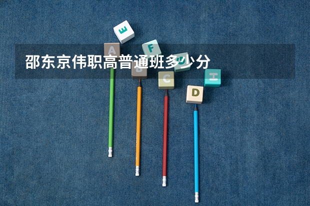 邵东京伟职高普通班多少分