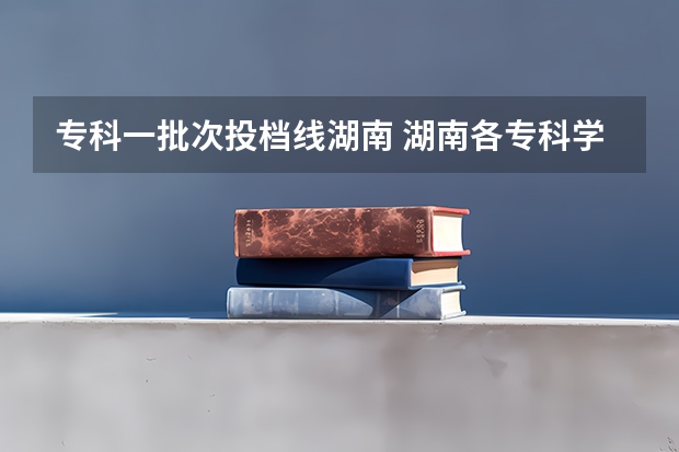 专科一批次投档线湖南 湖南各专科学校录取分数线2023