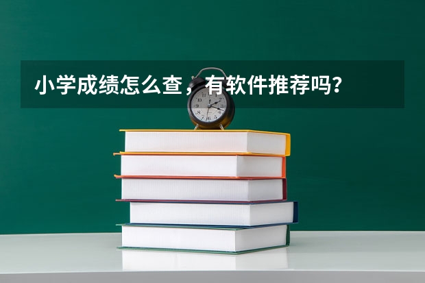 小学成绩怎么查，有软件推荐吗？