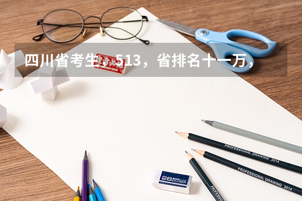 四川省考生，513，省排名十一万，能报什么学校