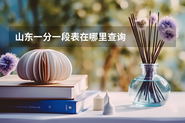 山东一分一段表在哪里查询
