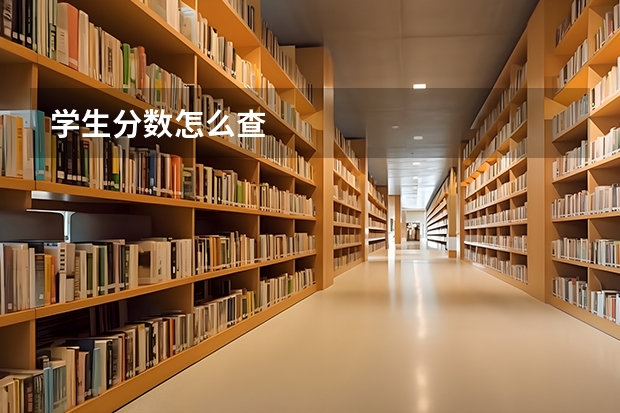 学生分数怎么查
