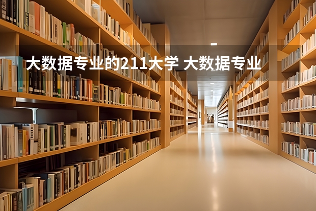 大数据专业的211大学 大数据专业大学排名