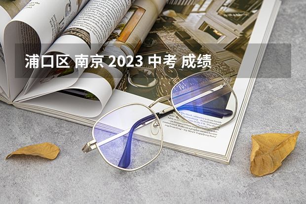 浦口区 南京 2023 中考 成绩 2023中考分数线公布南京