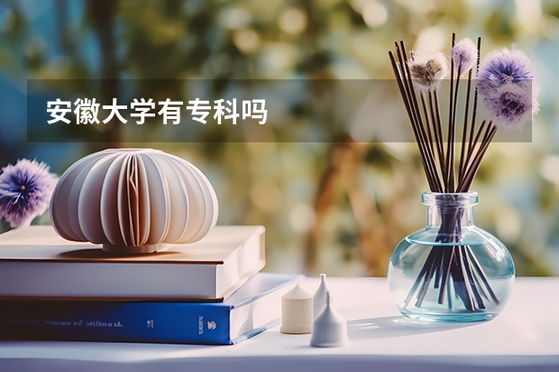 安徽大学有专科吗