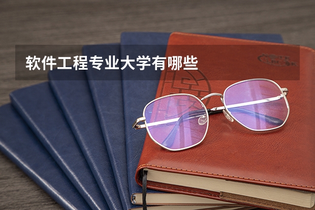 软件工程专业大学有哪些