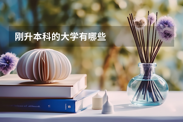 刚升本科的大学有哪些