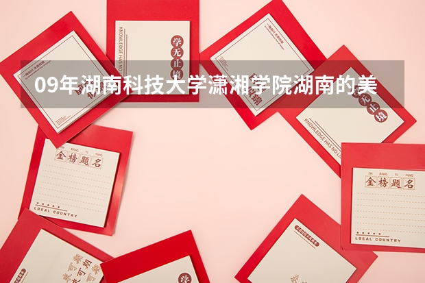 09年湖南科技大学潇湘学院湖南的美术专业223 文化336有希望录取吗???