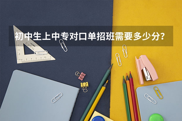 初中生上中专对口单招班需要多少分?