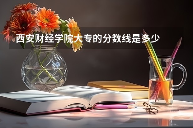 西安财经学院大专的分数线是多少