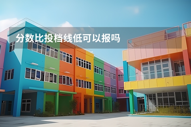 分数比投档线低可以报吗