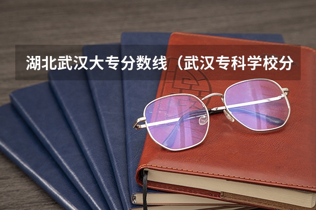 湖北武汉大专分数线（武汉专科学校分数线2023）