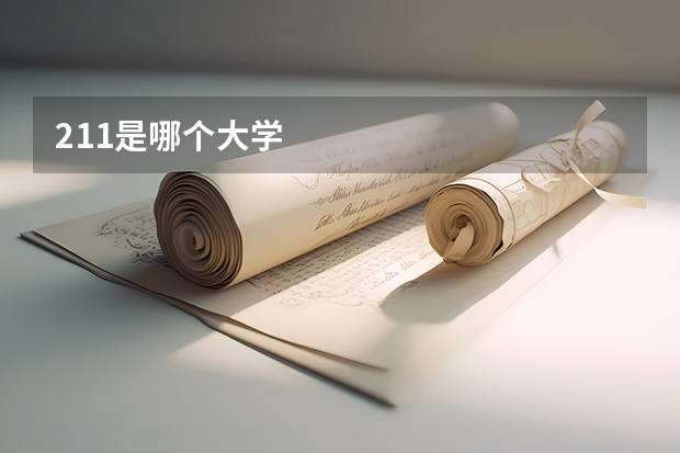 211是哪个大学