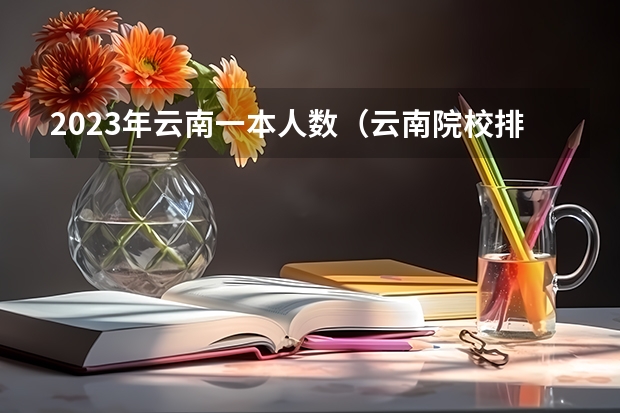 2023年云南一本人数（云南院校排名及录取分数线）