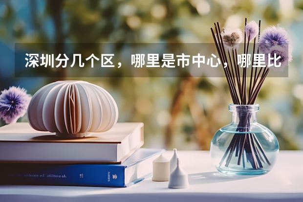 深圳分几个区，哪里是市中心，哪里比较繁华