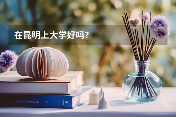 在昆明上大学好吗？