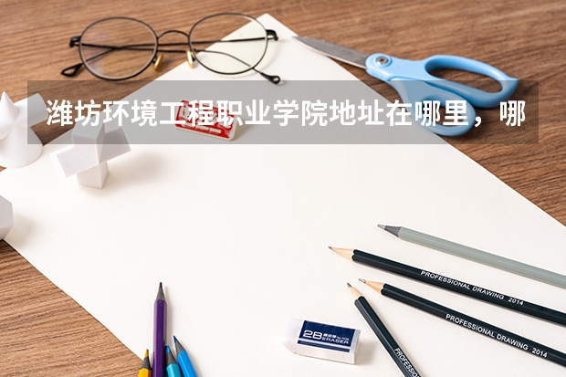 潍坊环境工程职业学院地址在哪里，哪个城市，哪个区？