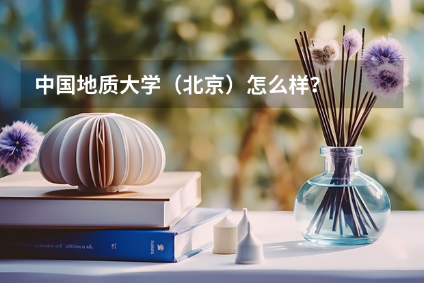 中国地质大学（北京）怎么样？