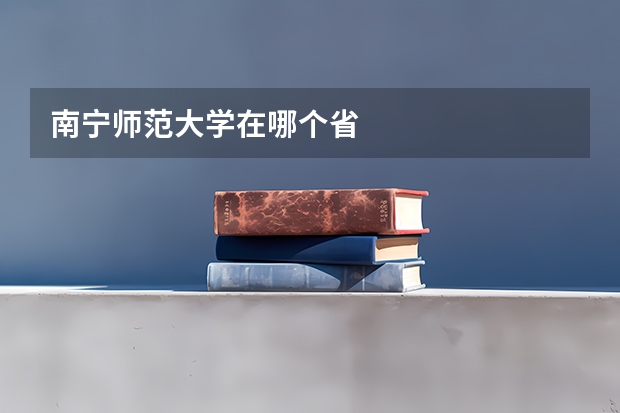 南宁师范大学在哪个省