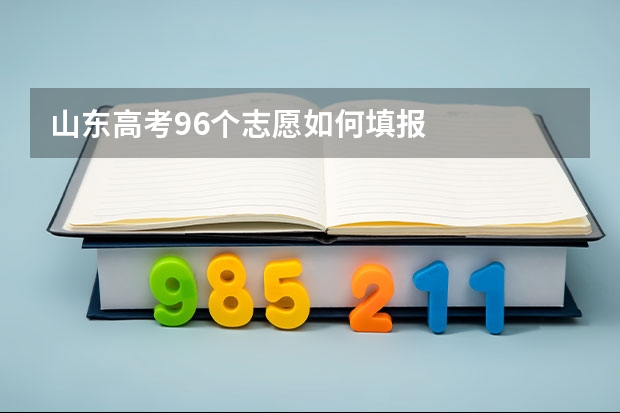 山东高考96个志愿如何填报
