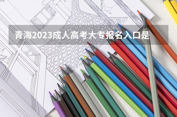 青海2023成人高考大专报名入口是哪个 报考网址是什么?