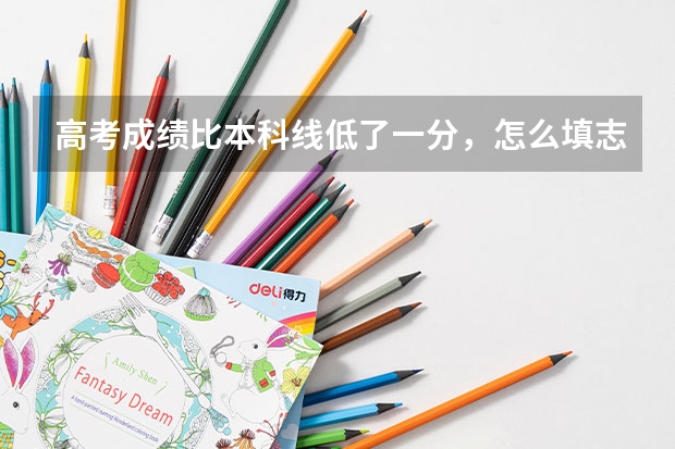 高考成绩比本科线低了一分，怎么填志愿好？