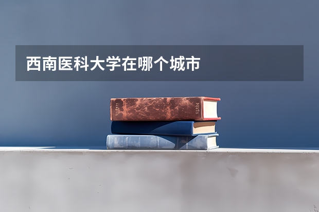 西南医科大学在哪个城市
