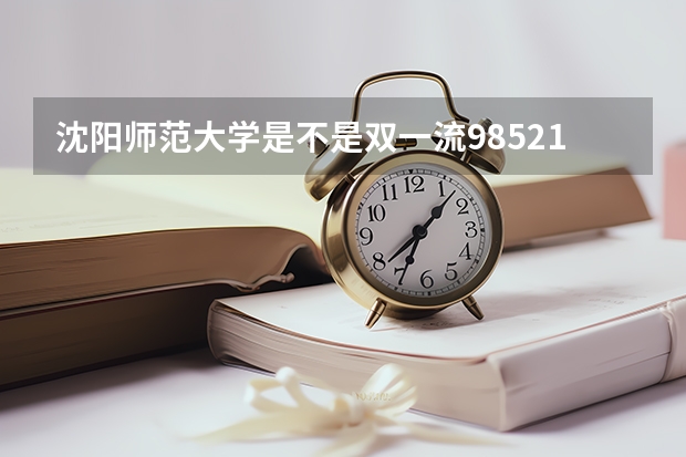 沈阳师范大学是不是双一流/985/211大学