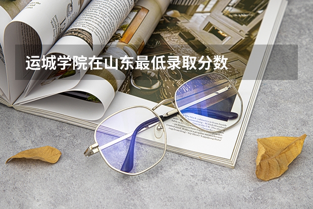 运城学院在山东最低录取分数