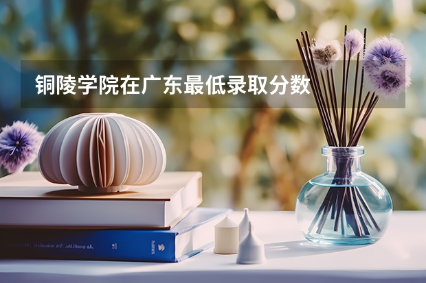 铜陵学院在广东最低录取分数
